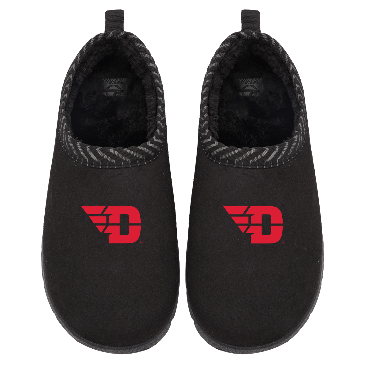 Dayton Flyers Primary Logo Mission