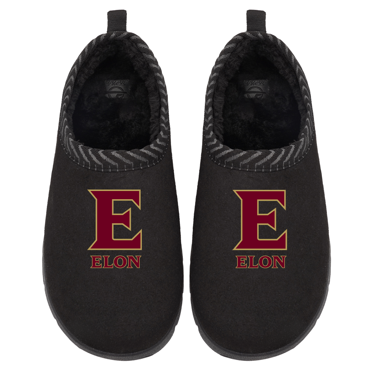 Elon Phoenix Primary Logo Mission