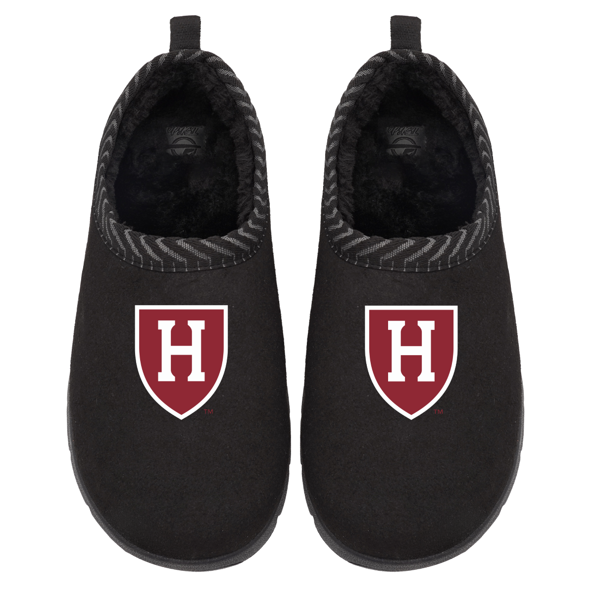 Harvard Crimson Primary Logo Mission