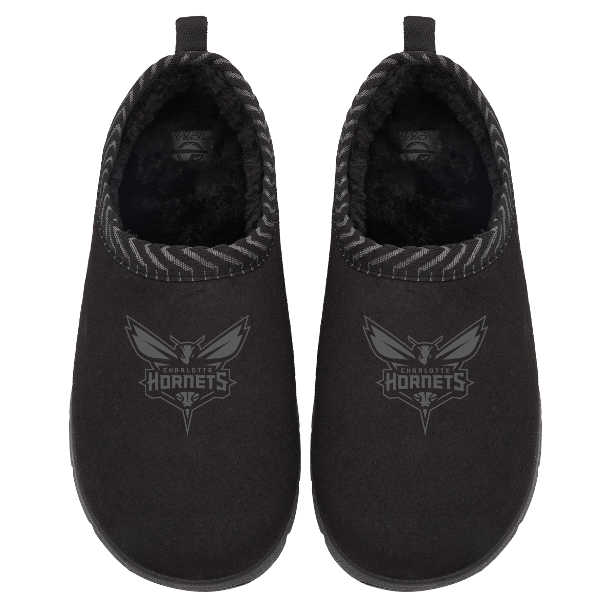 Charlotte Hornets Tonal Logo Mission