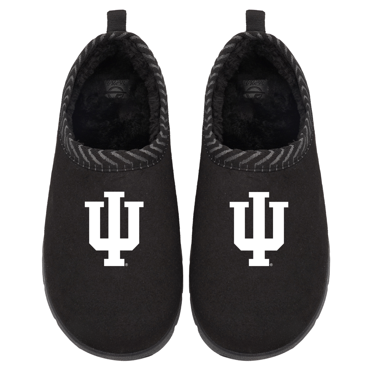 Indiana Hoosiers Primary Logo Mission