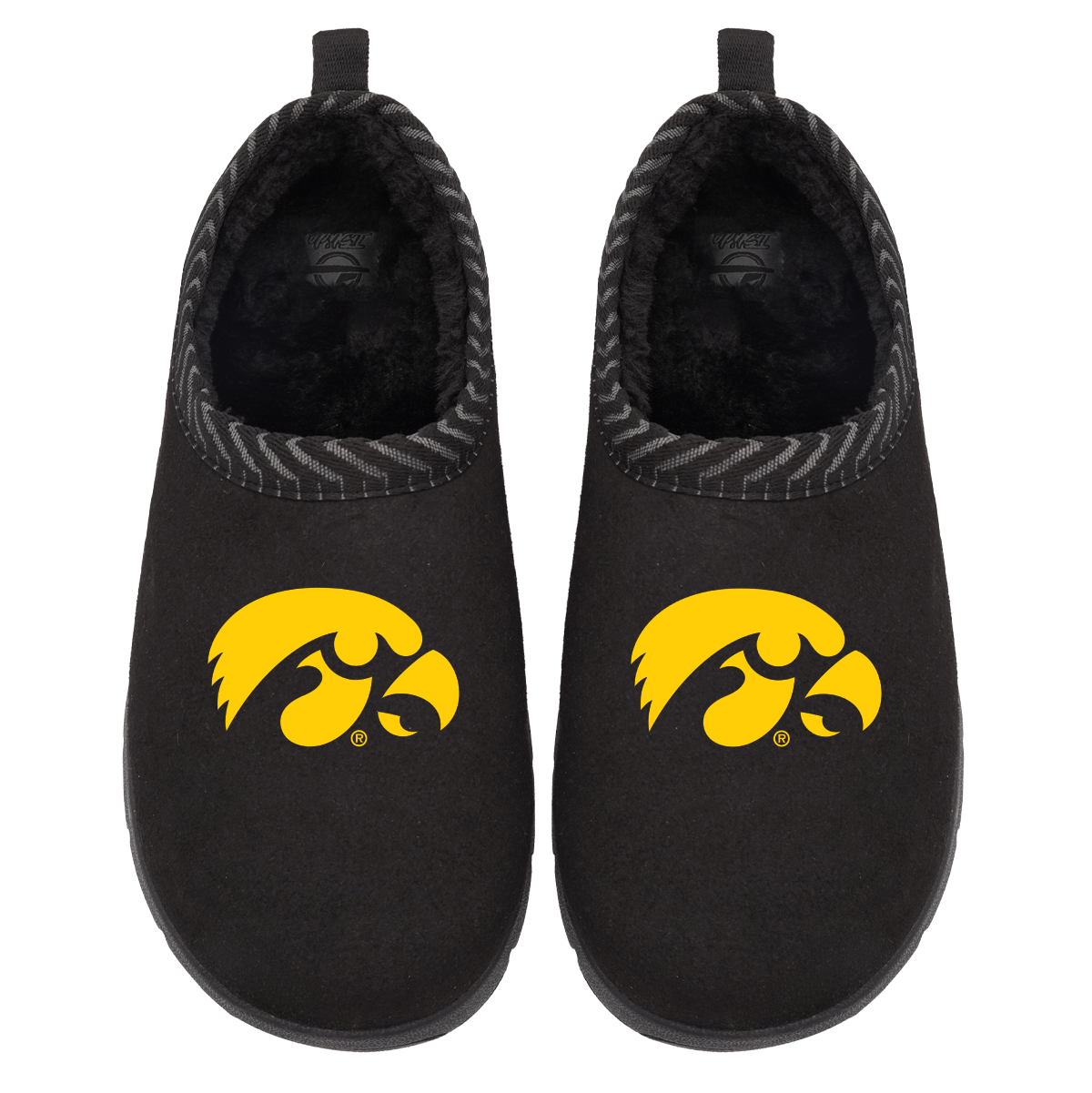 Iowa Hawkeyes Primary Logo Mission