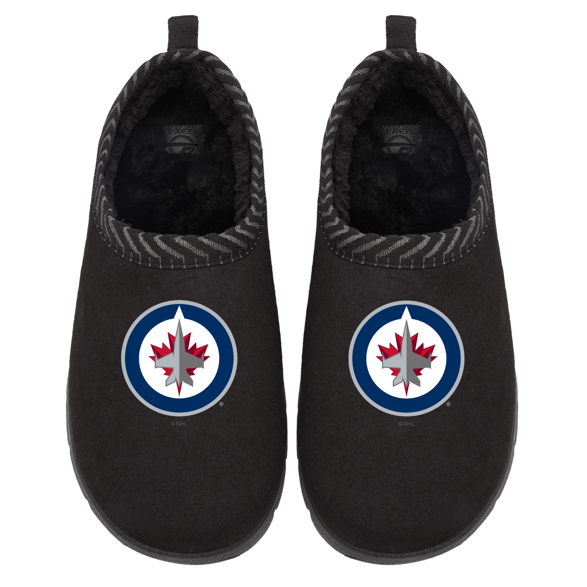 Winnipeg Jets Primary Logo Mission