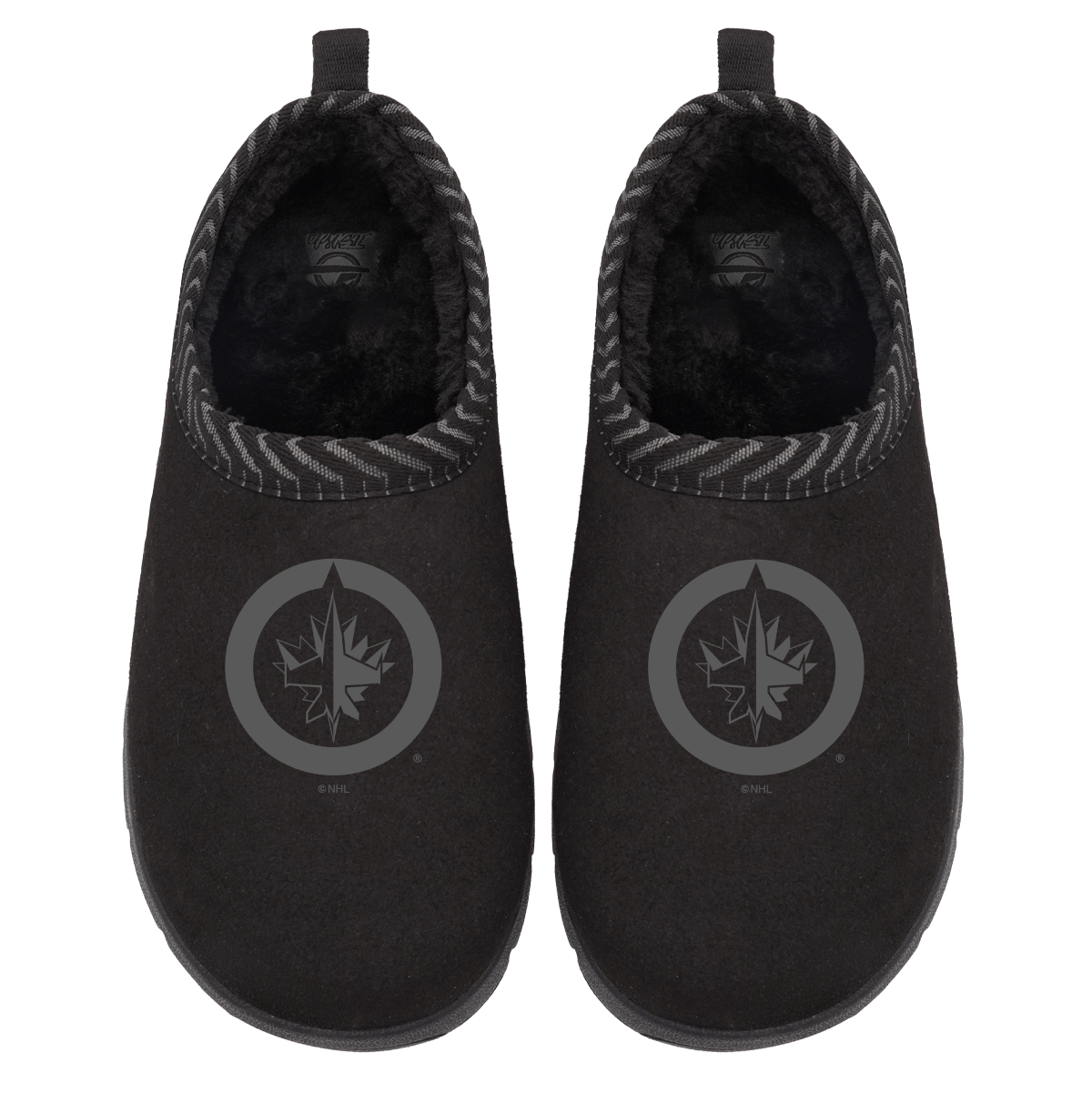 Winnipeg Jets Tonal Logo Mission