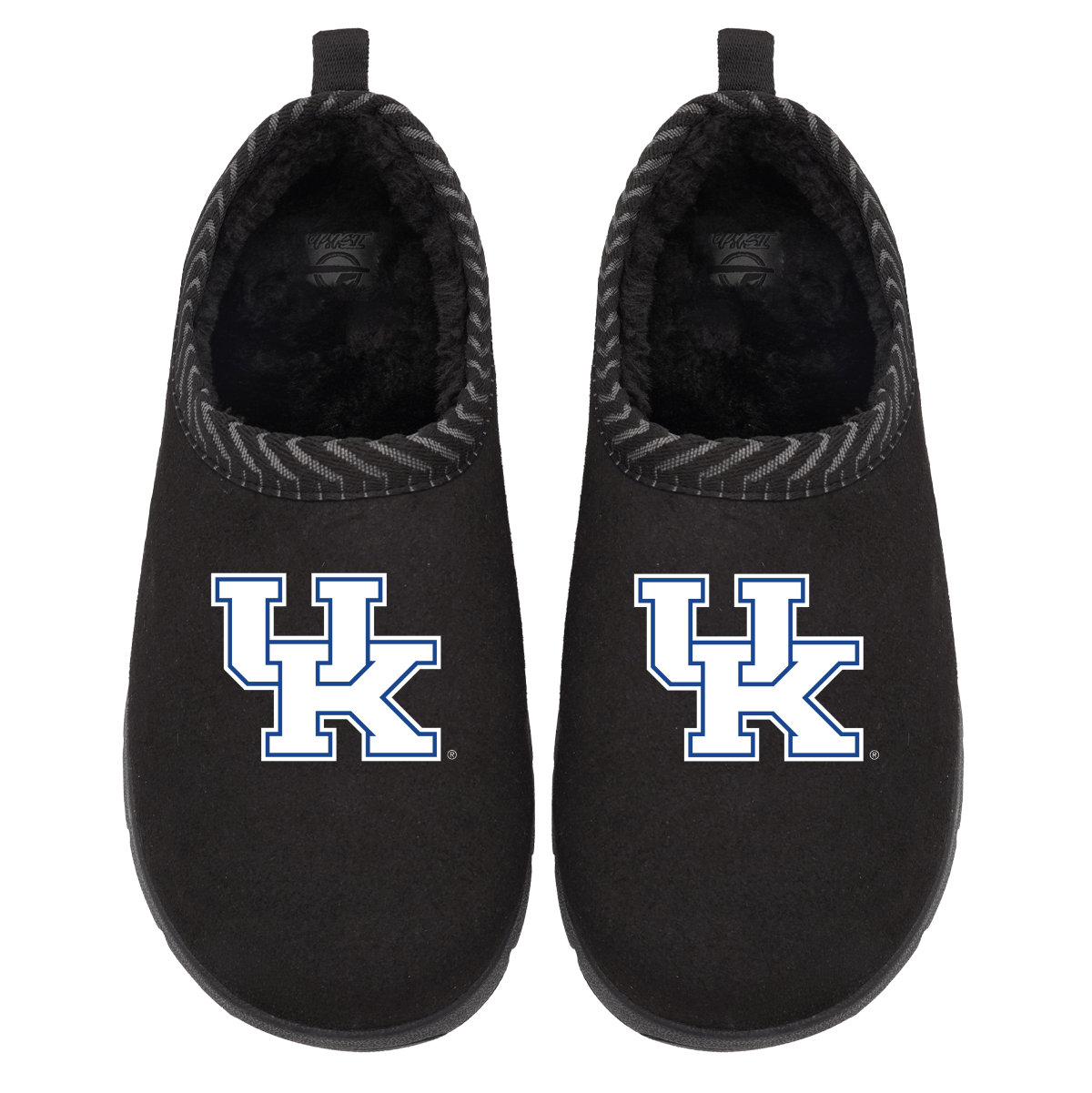 Kentucky Wildcats Primary Logo Mission