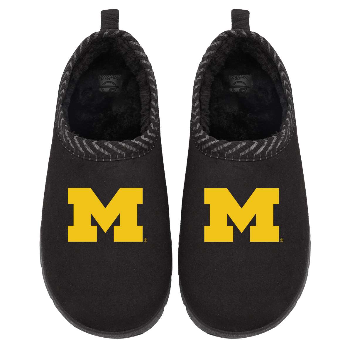 Michigan Wolverines Primary Logo Mission