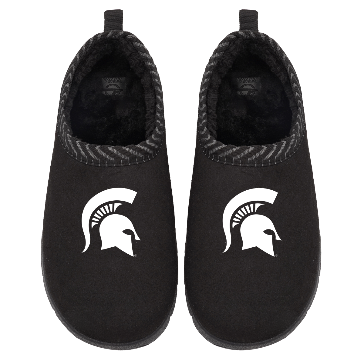 Michigan State Spartans Primary Logo Mission
