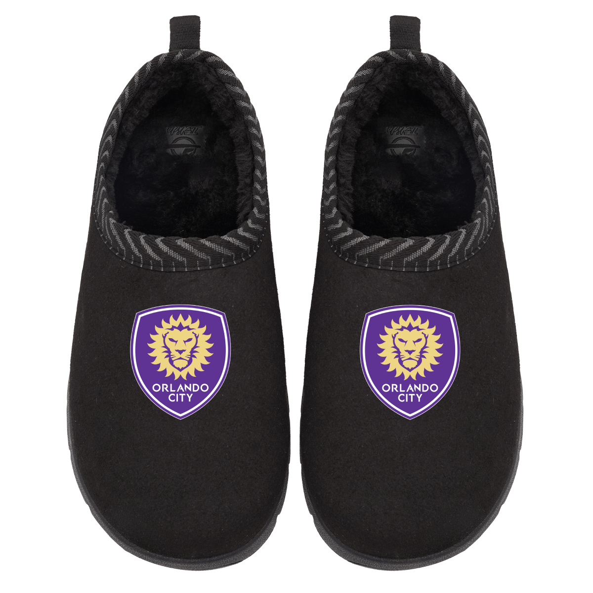 Orlando City SC Primary Logo