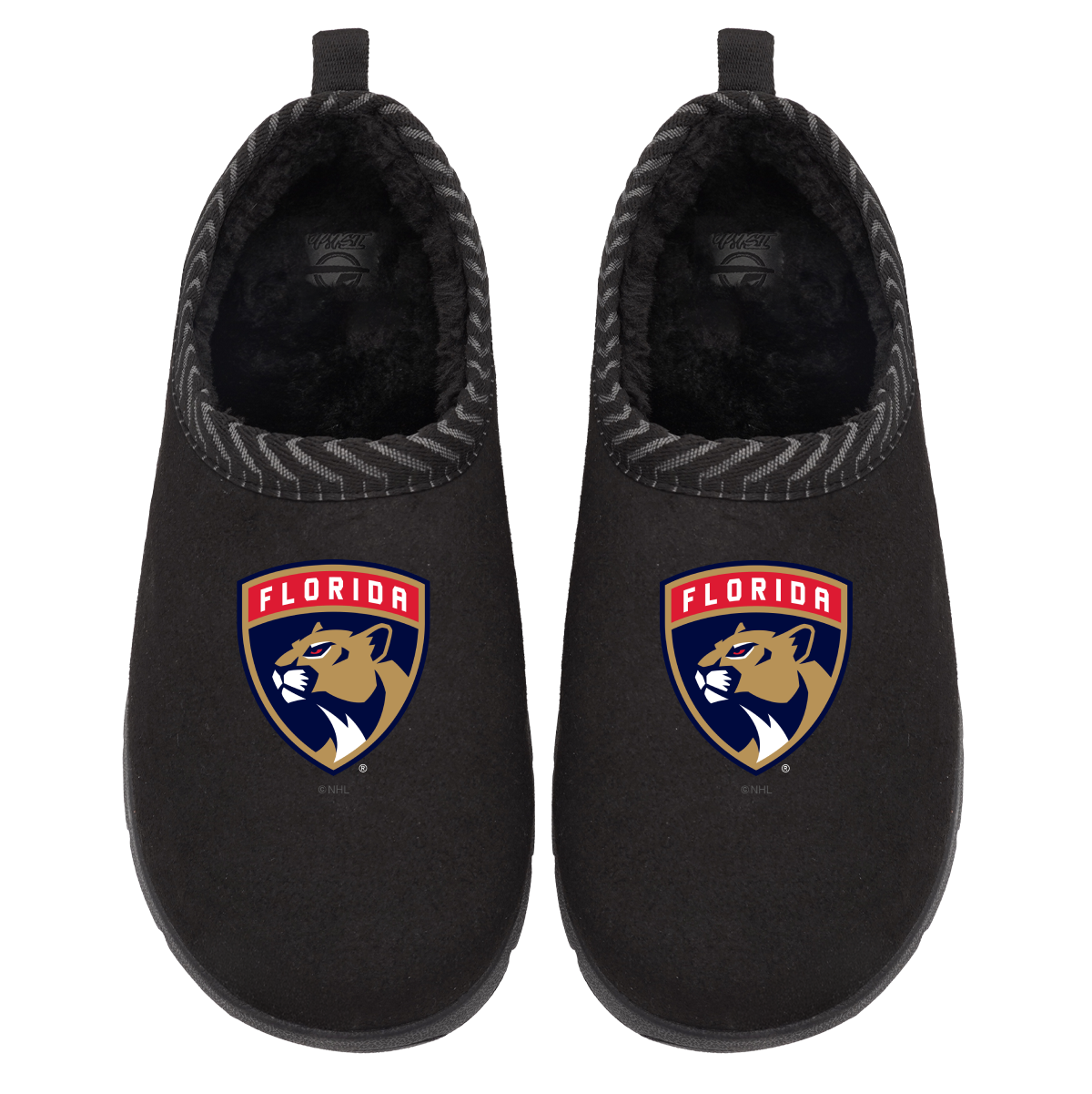 Florida Panthers Primary Logo Mission