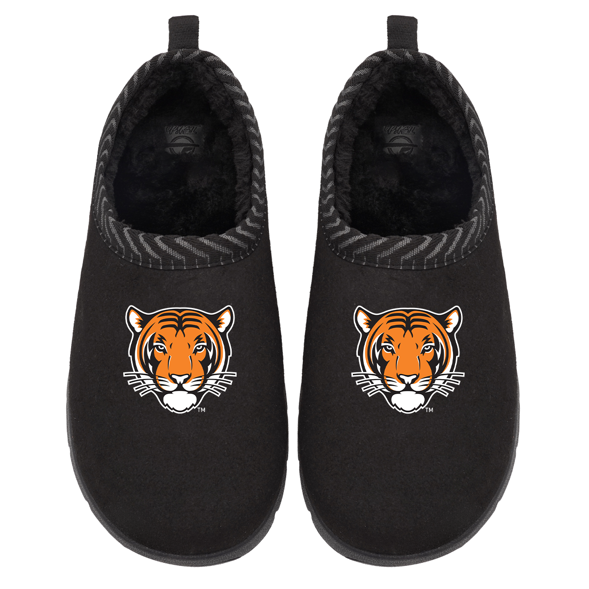 Princeton Tigers Primary Logo Mission