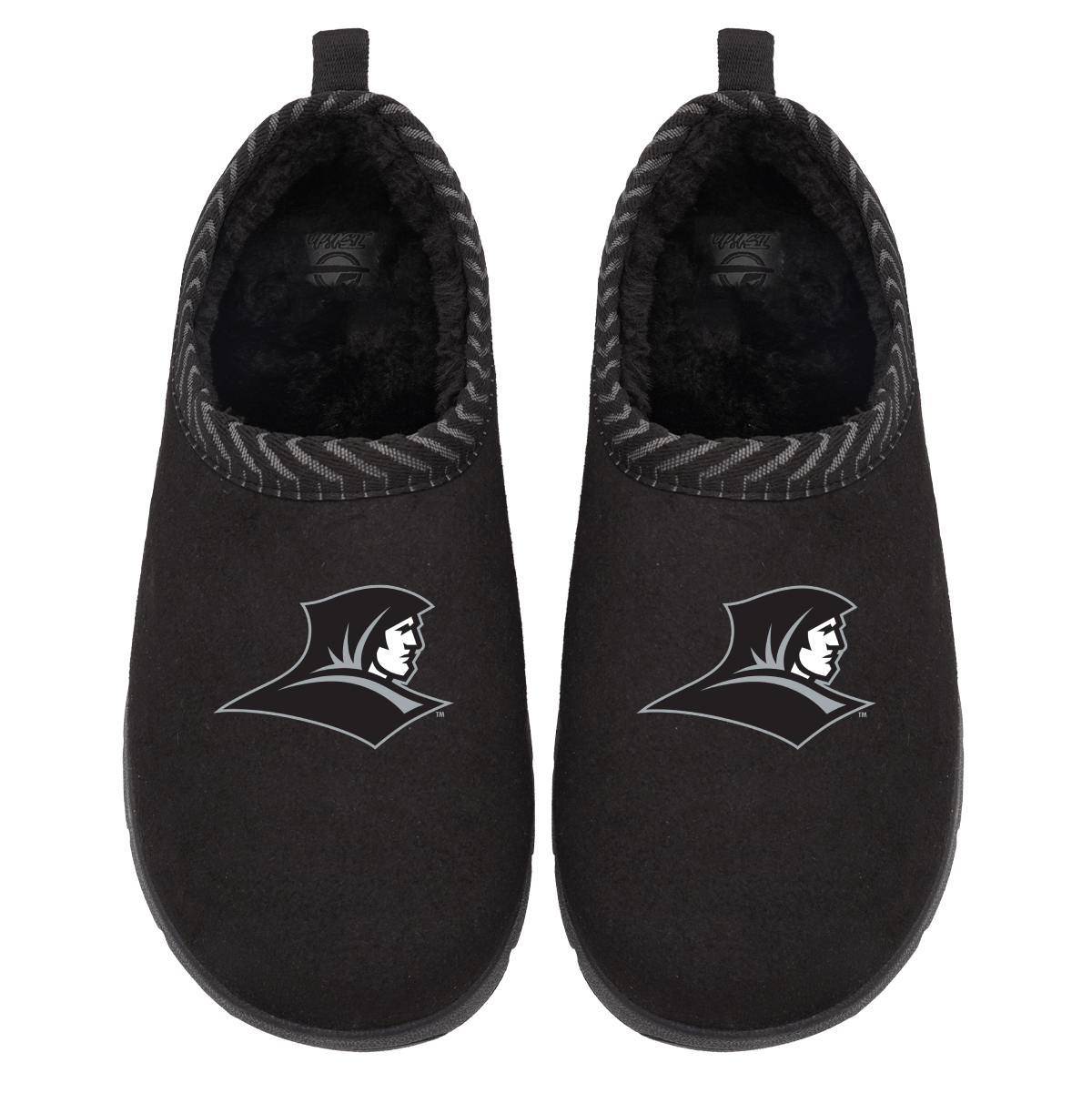 Providence Friars Primary Logo Mission