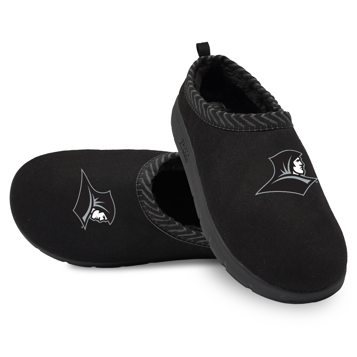 Providence Friars Primary Logo Mission