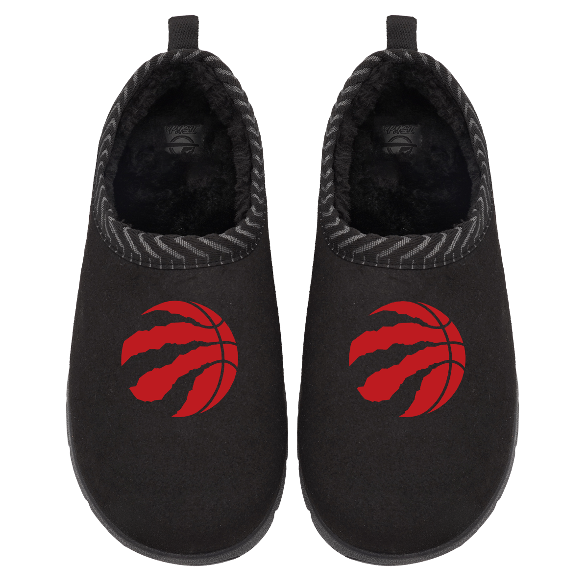Toronto Raptors Primary Logo Mission