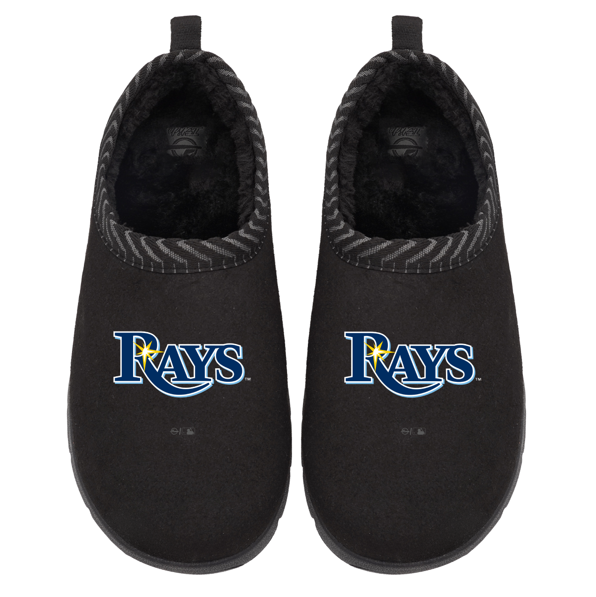 Tampa Bay Rays Primary Logo Mission