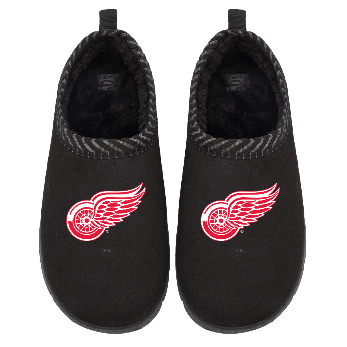 Detroit Red Wings Primary Logo Mission