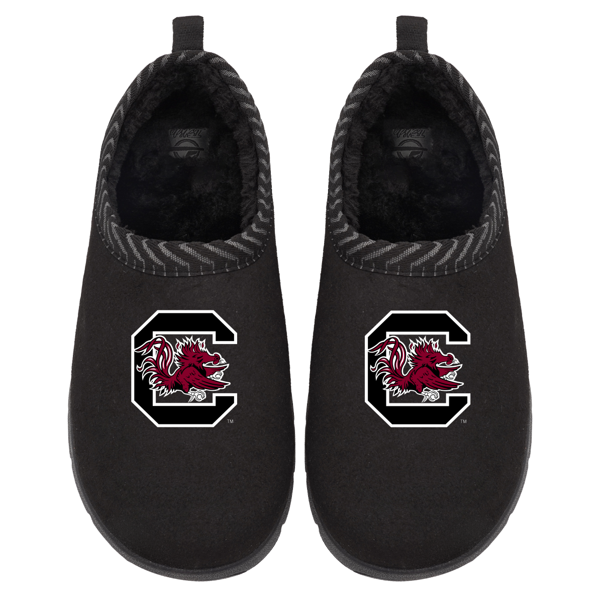 South Carolina Gamecocks Primary Logo Mission