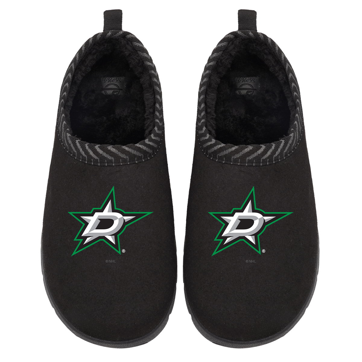 Dallas Stars Primary Logo Mission