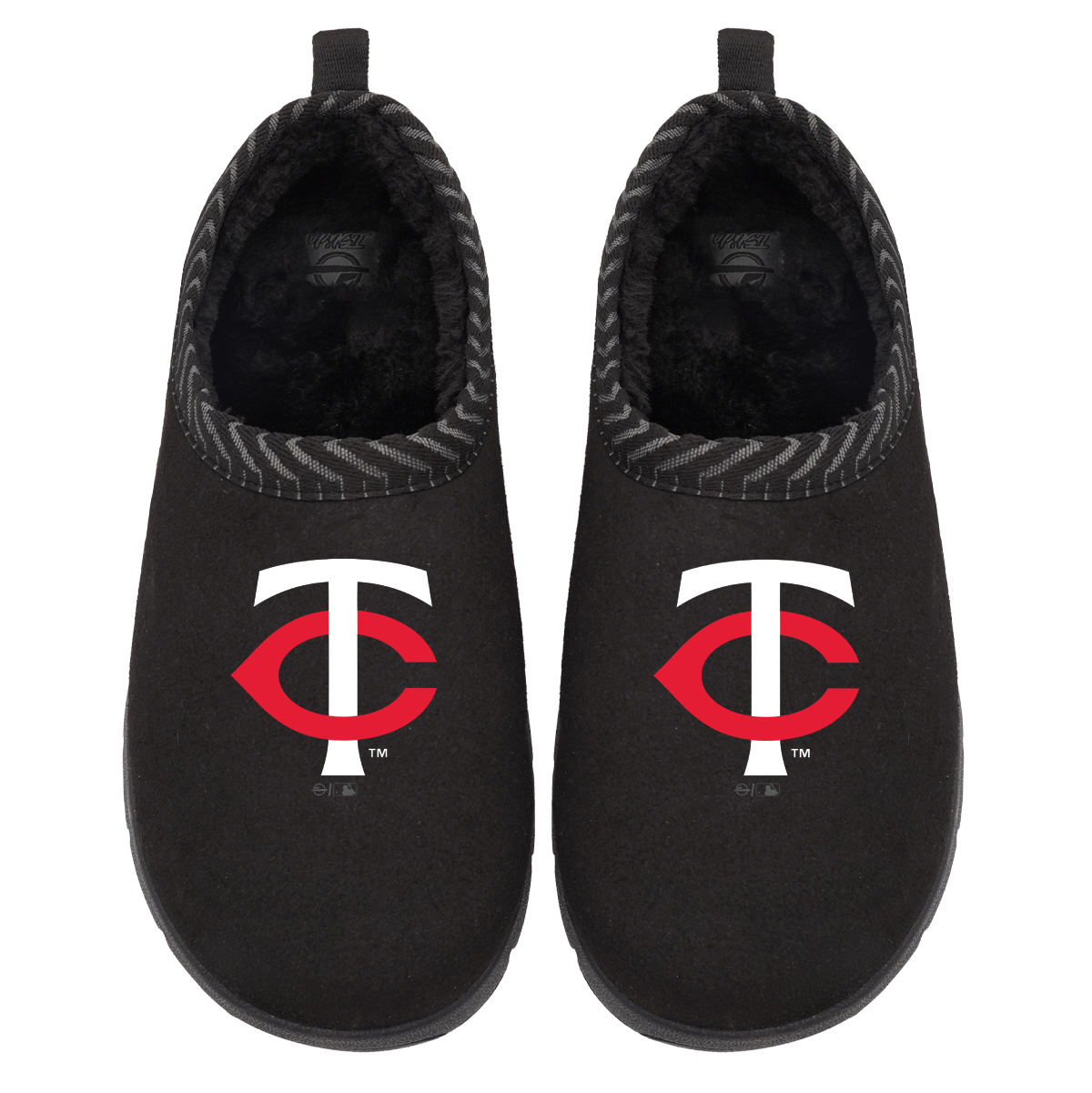 Minnesota Twins Primary Logo Mission