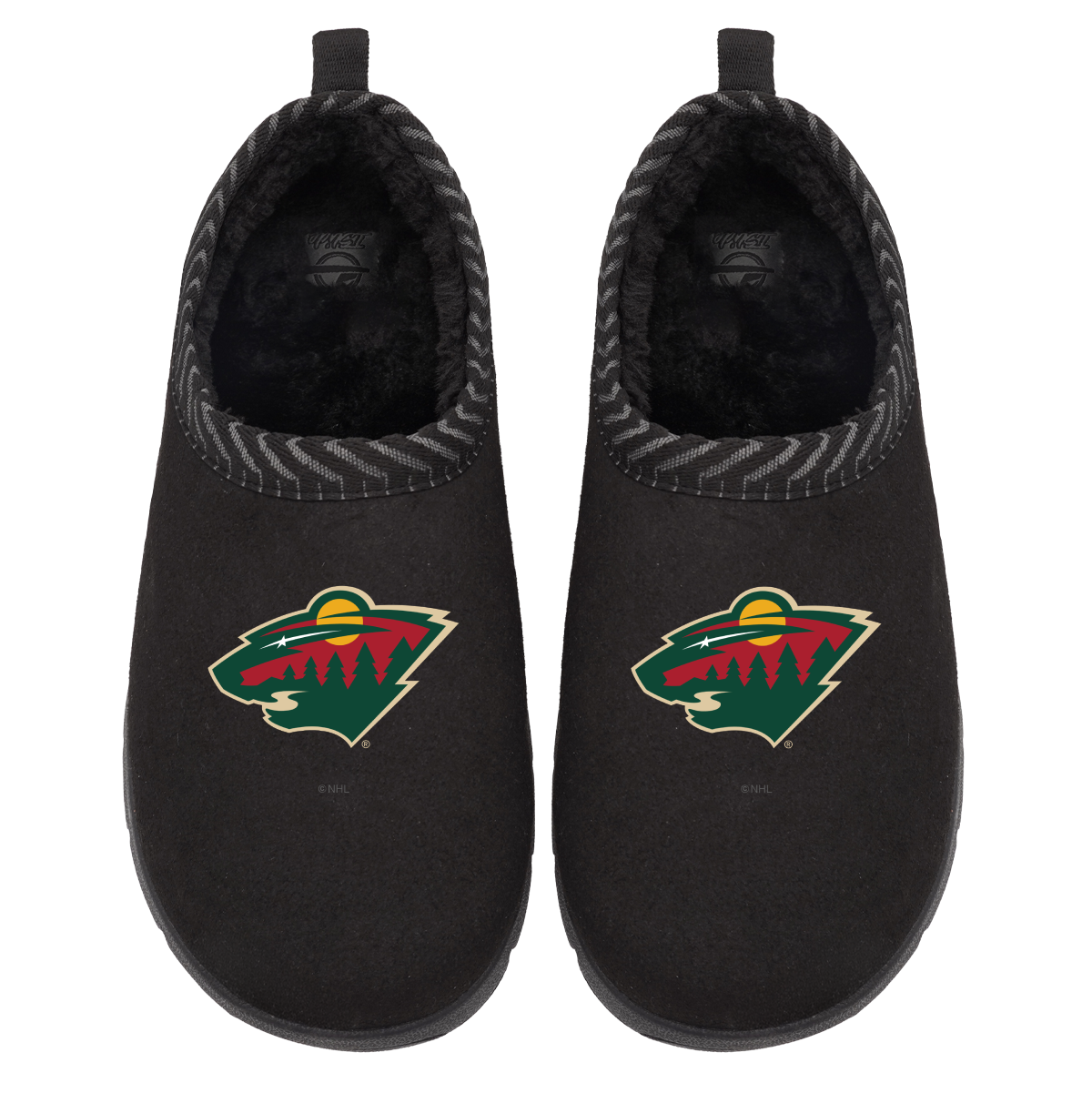 Minnesota Wild Primary Logo Mission