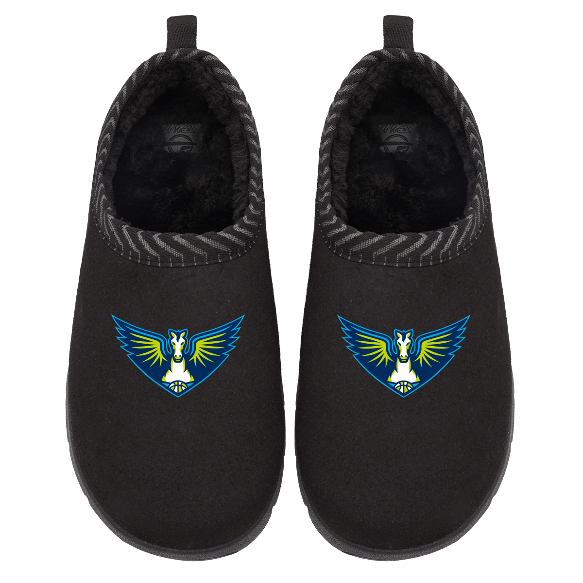 Dallas Wings Primary Logo Mission