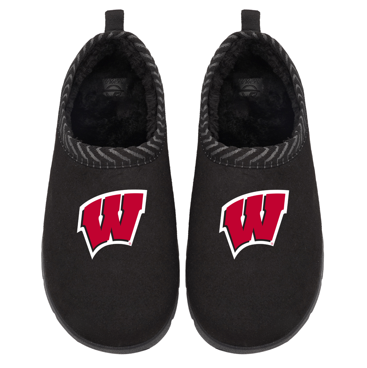 Wisconsin Badgers Primary Logo Mission