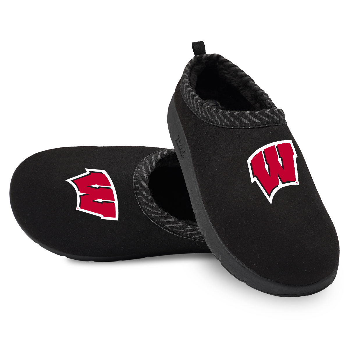 Wisconsin Badgers Primary Logo Mission