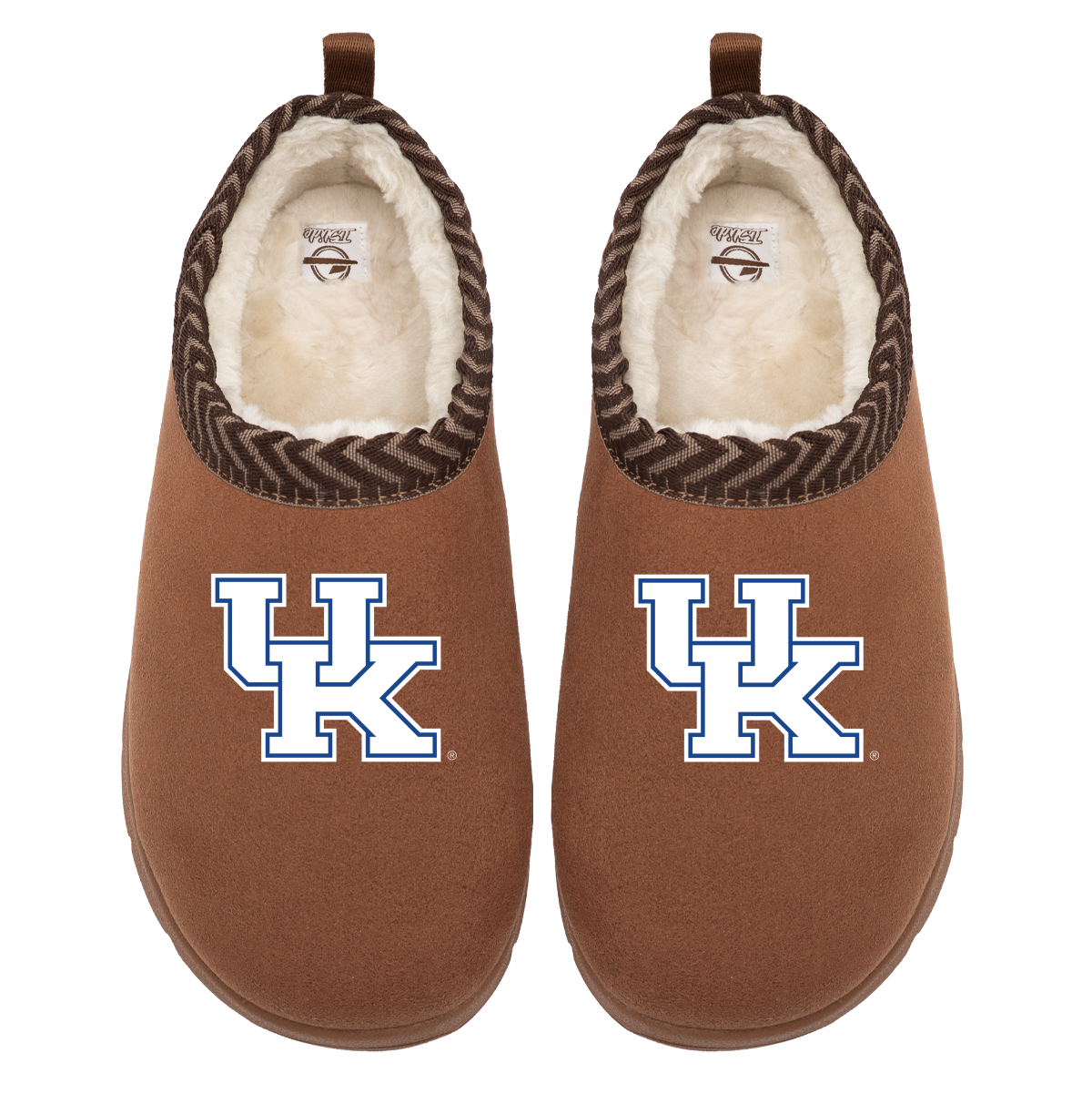 Kentucky Wildcats Primary Logo Mission
