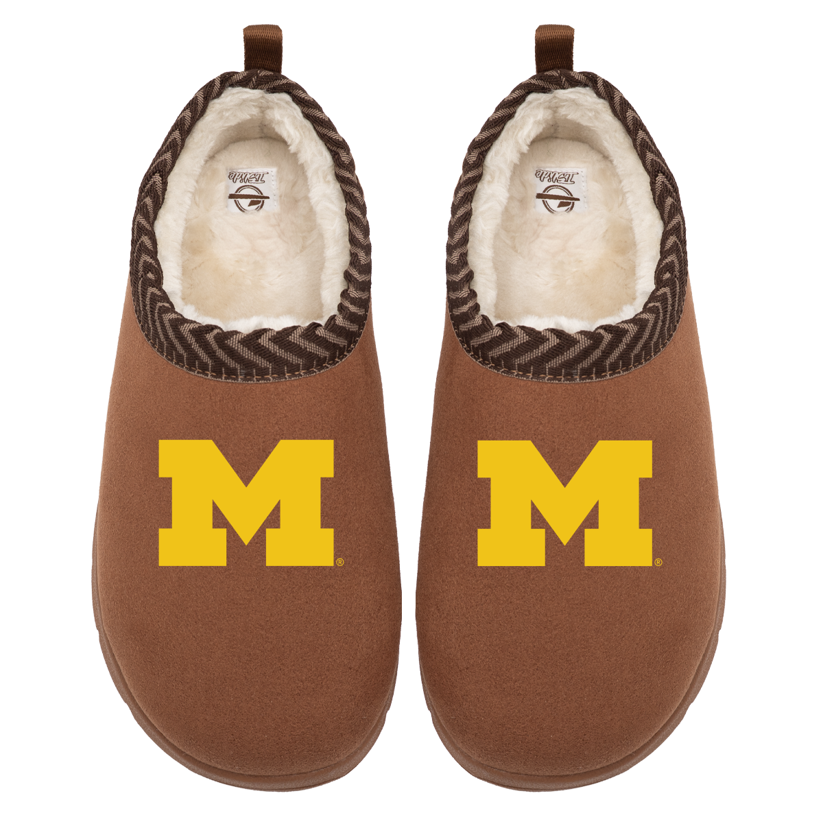 Michigan Wolverines Primary Logo Mission