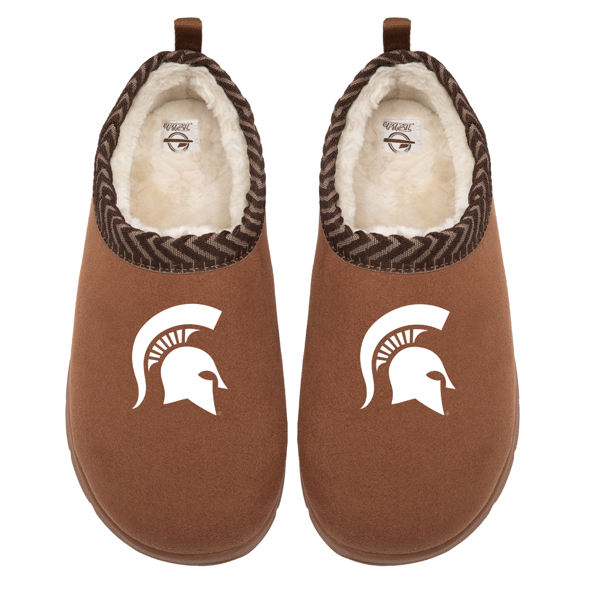 Michigan State Spartans Primary Logo Mission