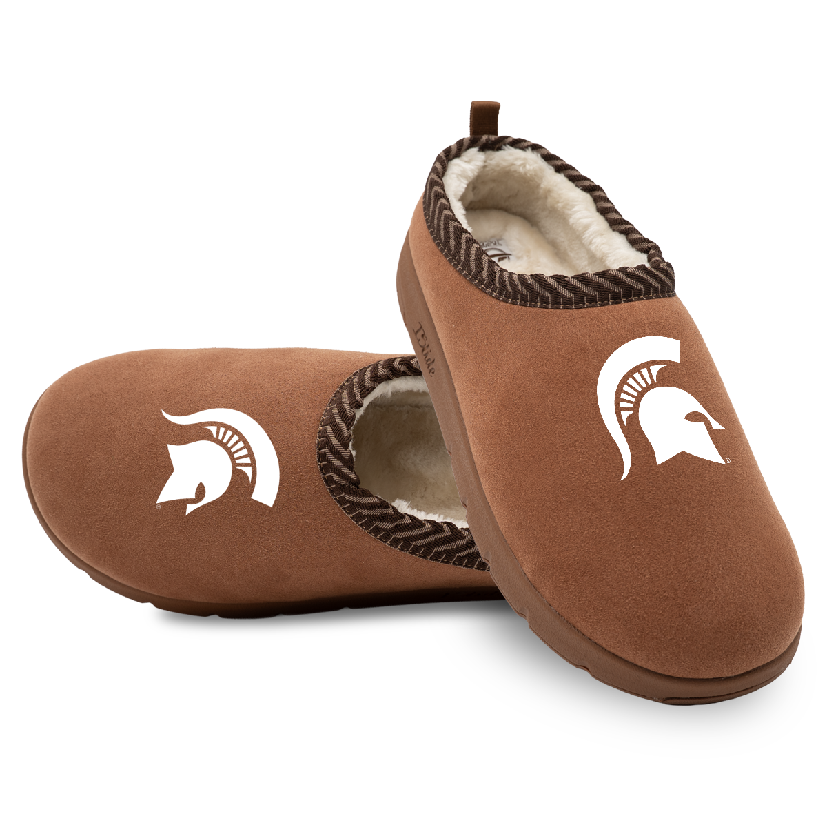 Michigan State Spartans Primary Logo Mission