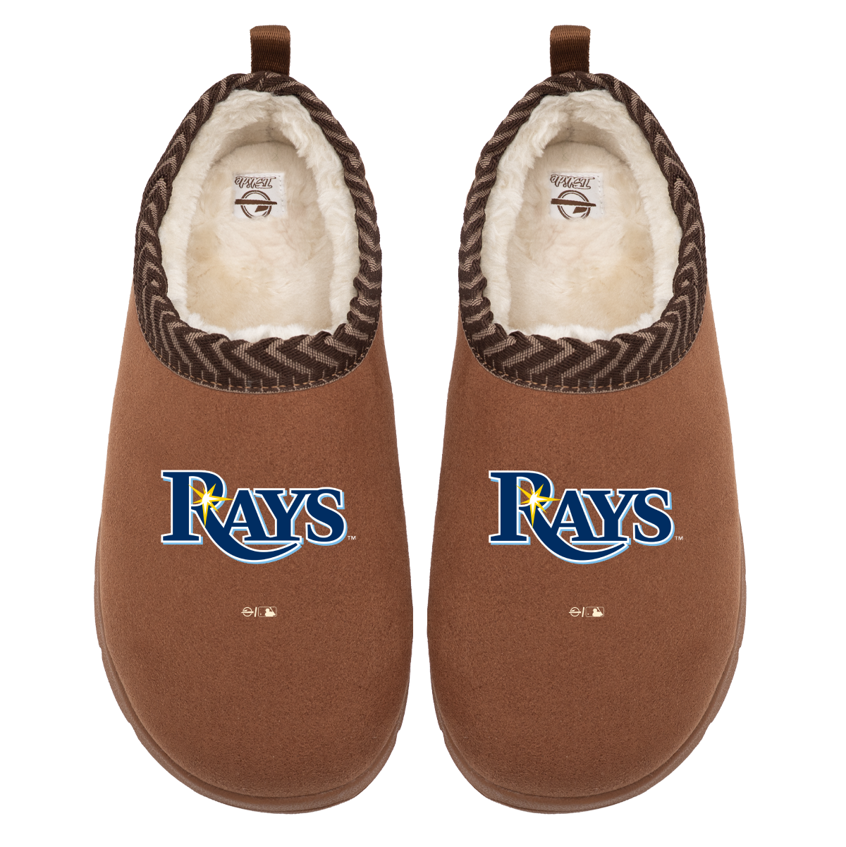 Tampa Bay Rays Primary Logo Mission