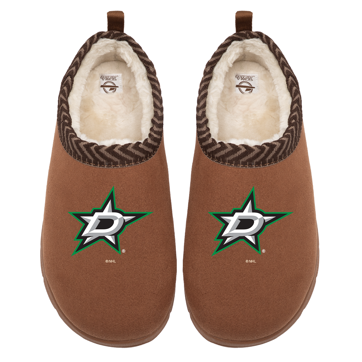 Dallas Stars Primary Logo Mission