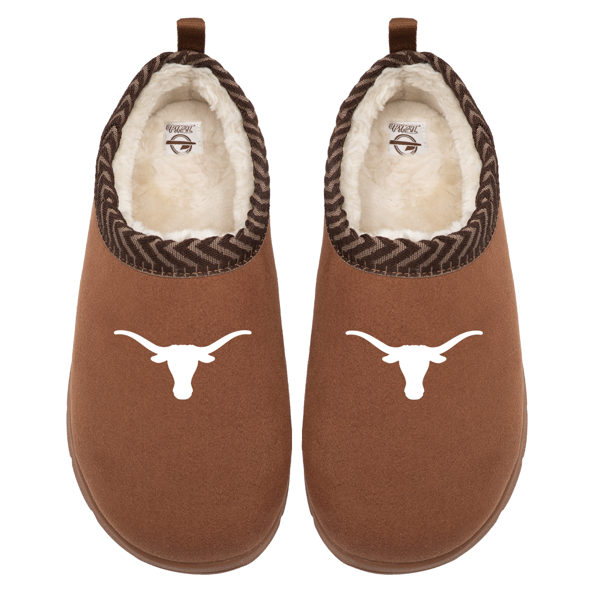 Texas Longhorns Primary Logo Mission