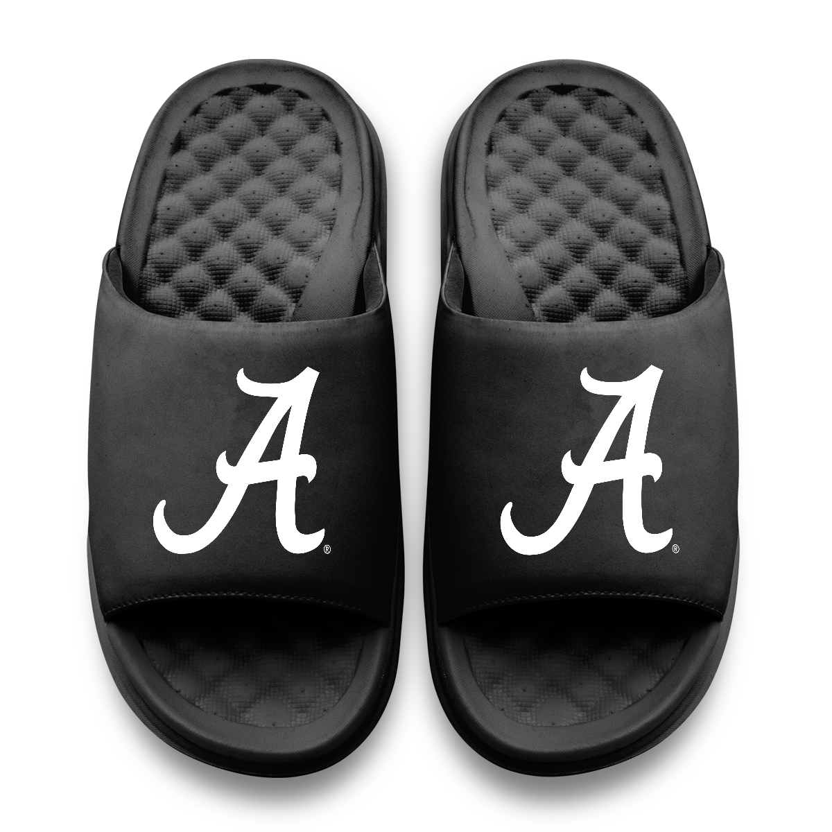 Alabama Crimson Tide Primary Motive