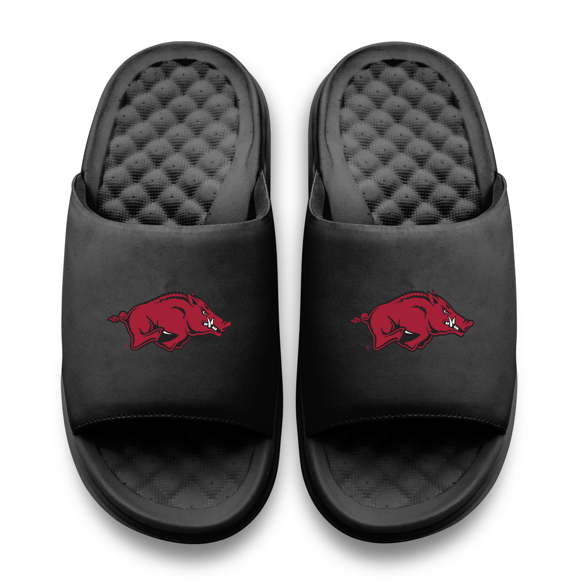 Arkansas Razorbacks Primary Motive