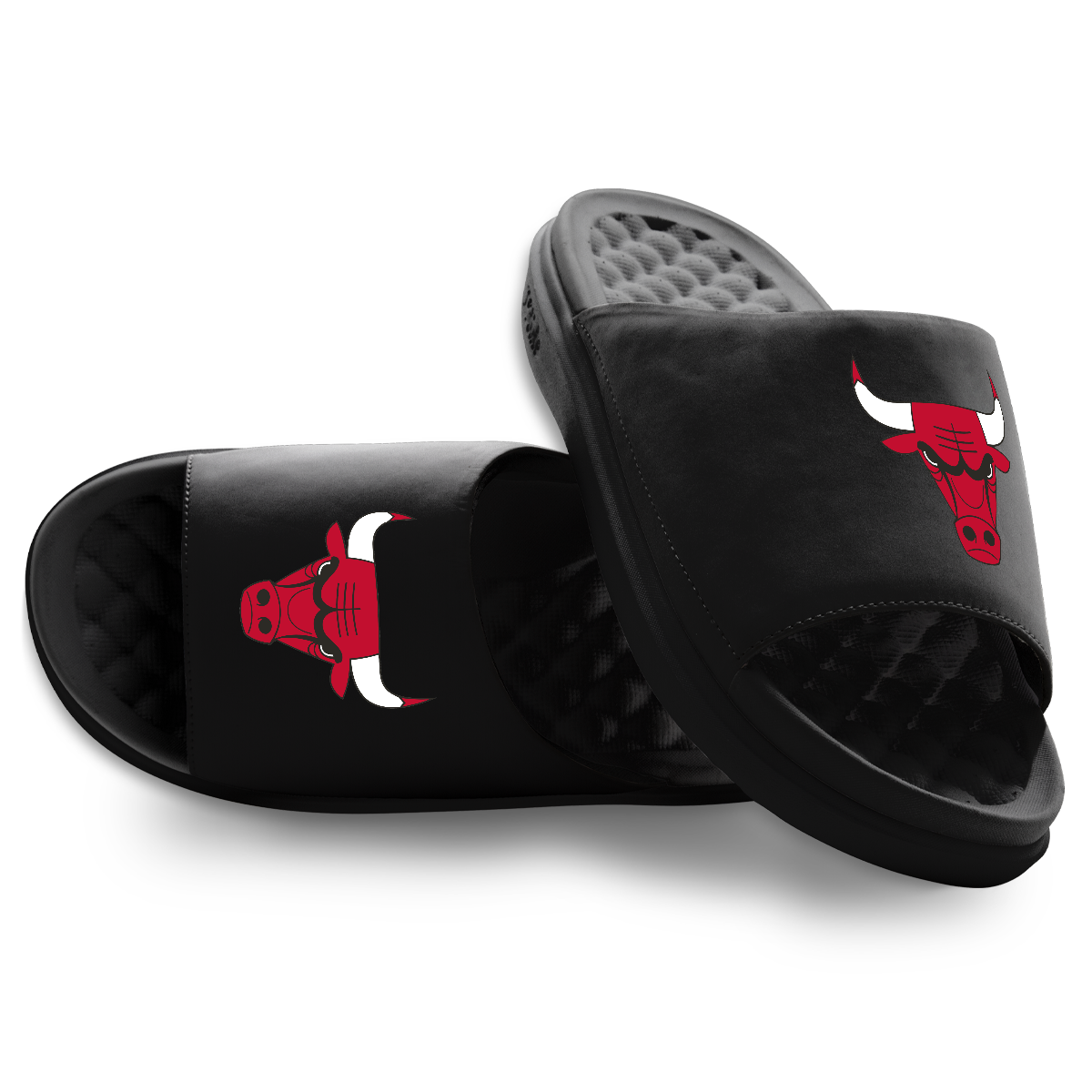 Chicago Bulls Primary Motive