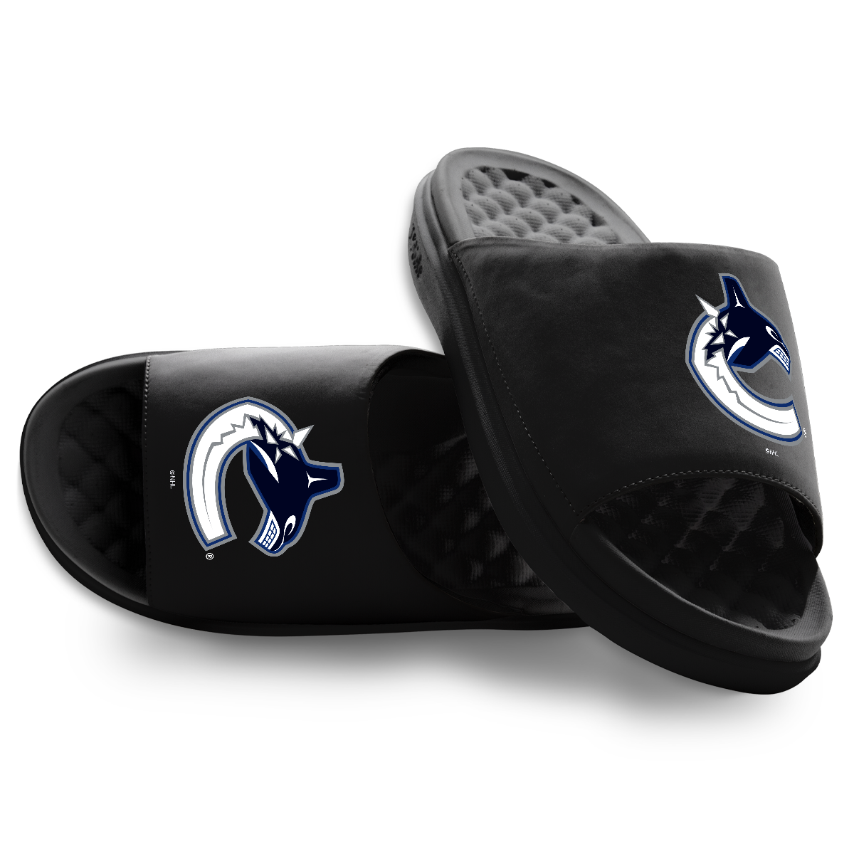 Vancouver Canucks Primary Motive