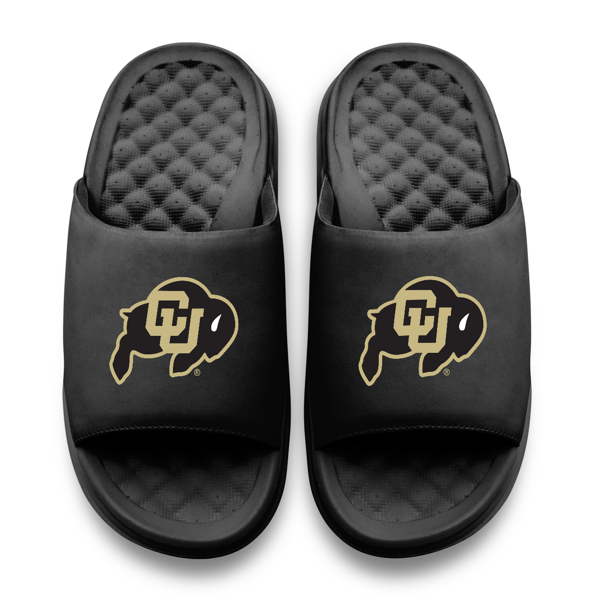 Colorado Buffaloes Primary Motive