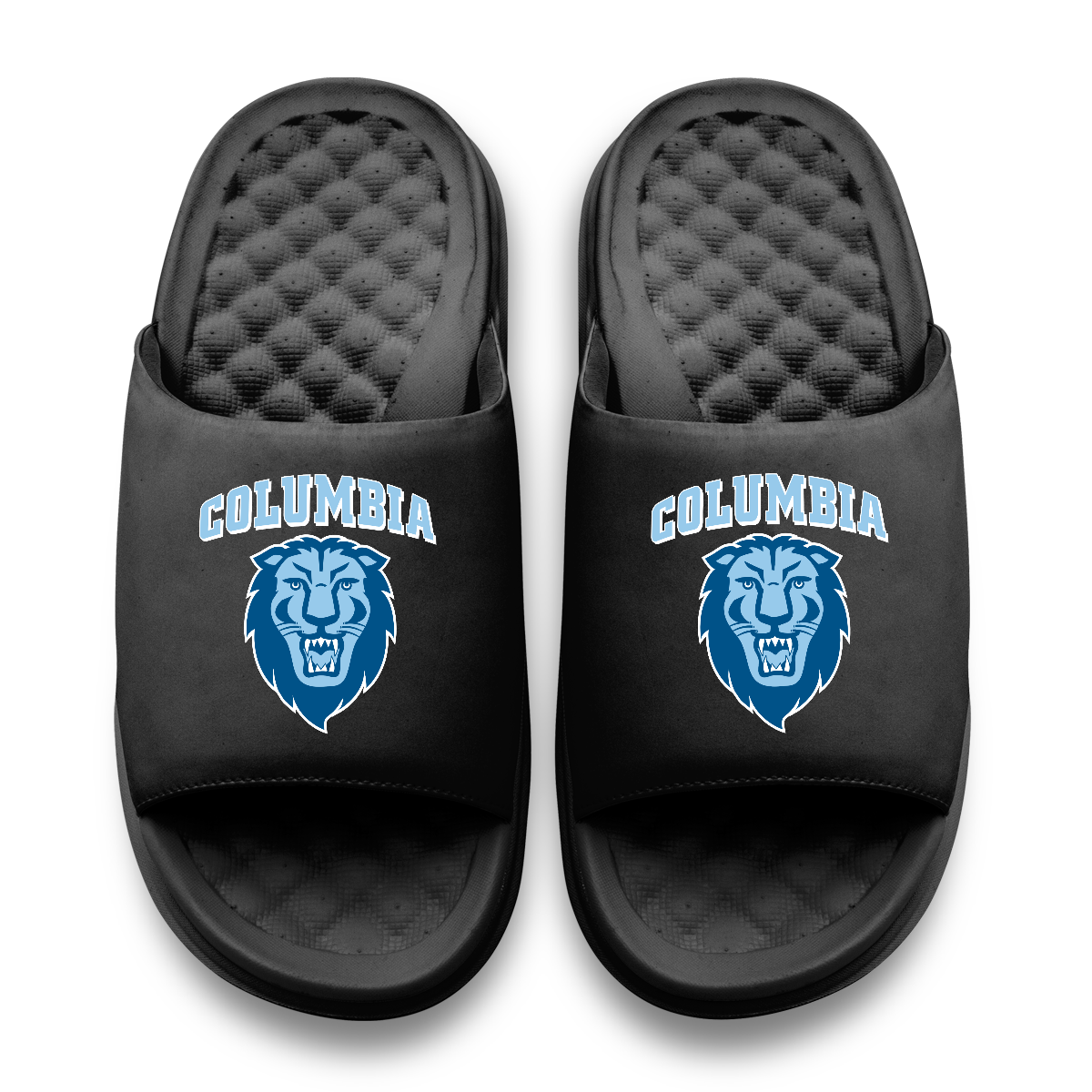 Columbia University Primary Motive