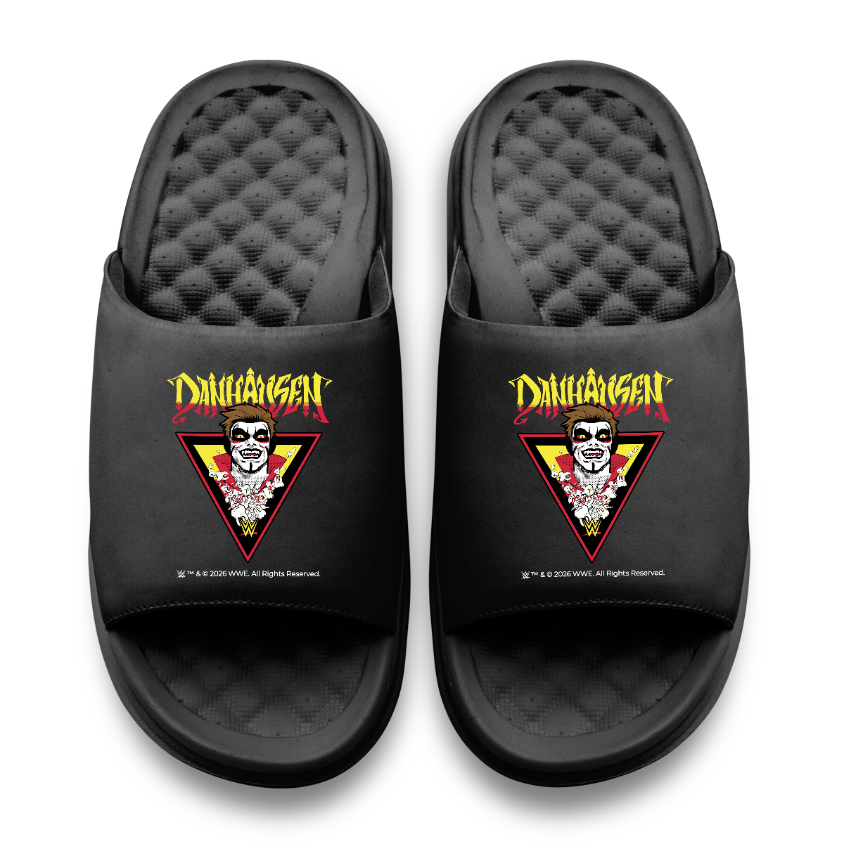Danhausen Triangle Logo Motive