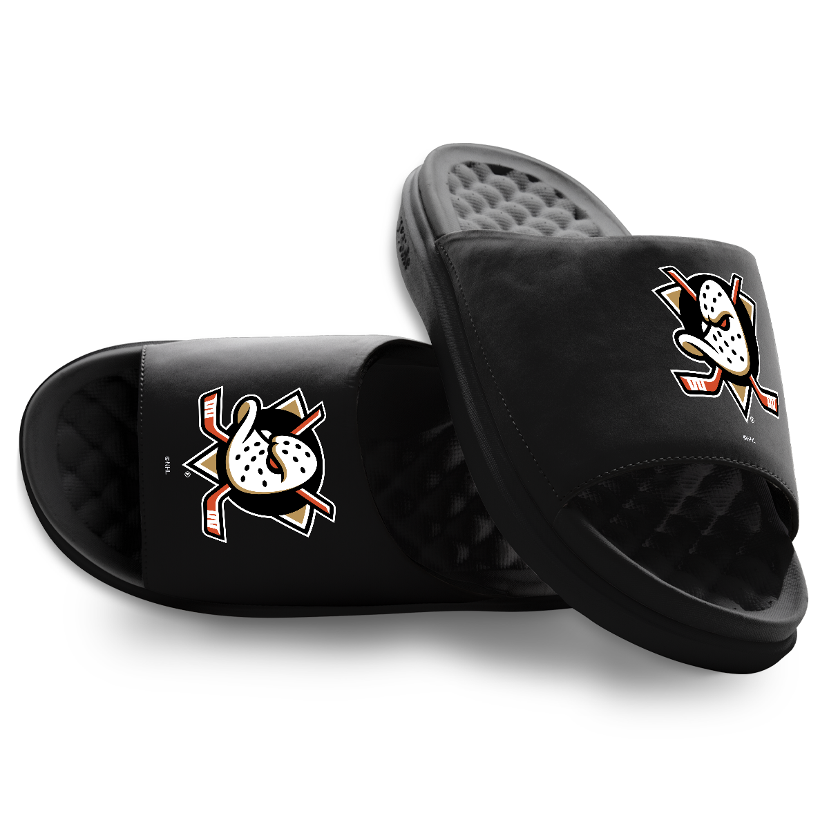 Anaheim Ducks Primary Motive
