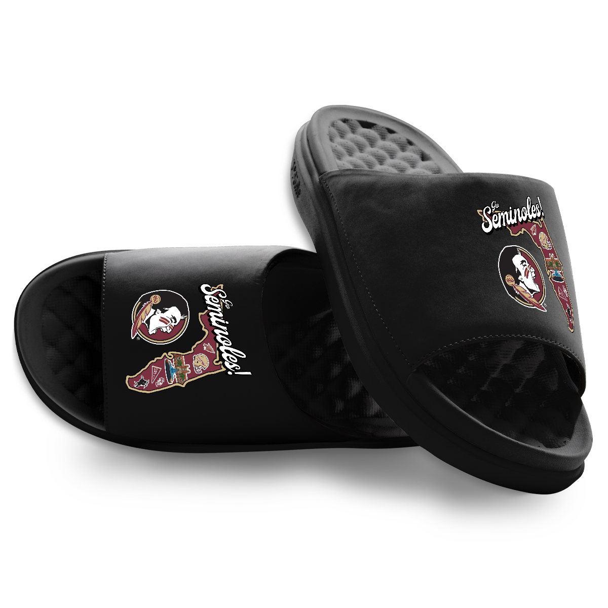 Florida State Seminoles Landmark