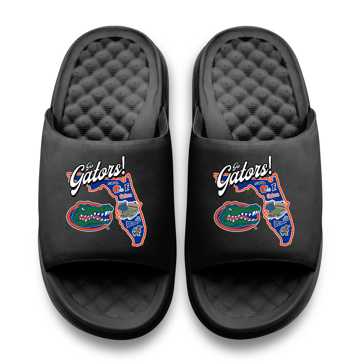 Florida Gators Landmark