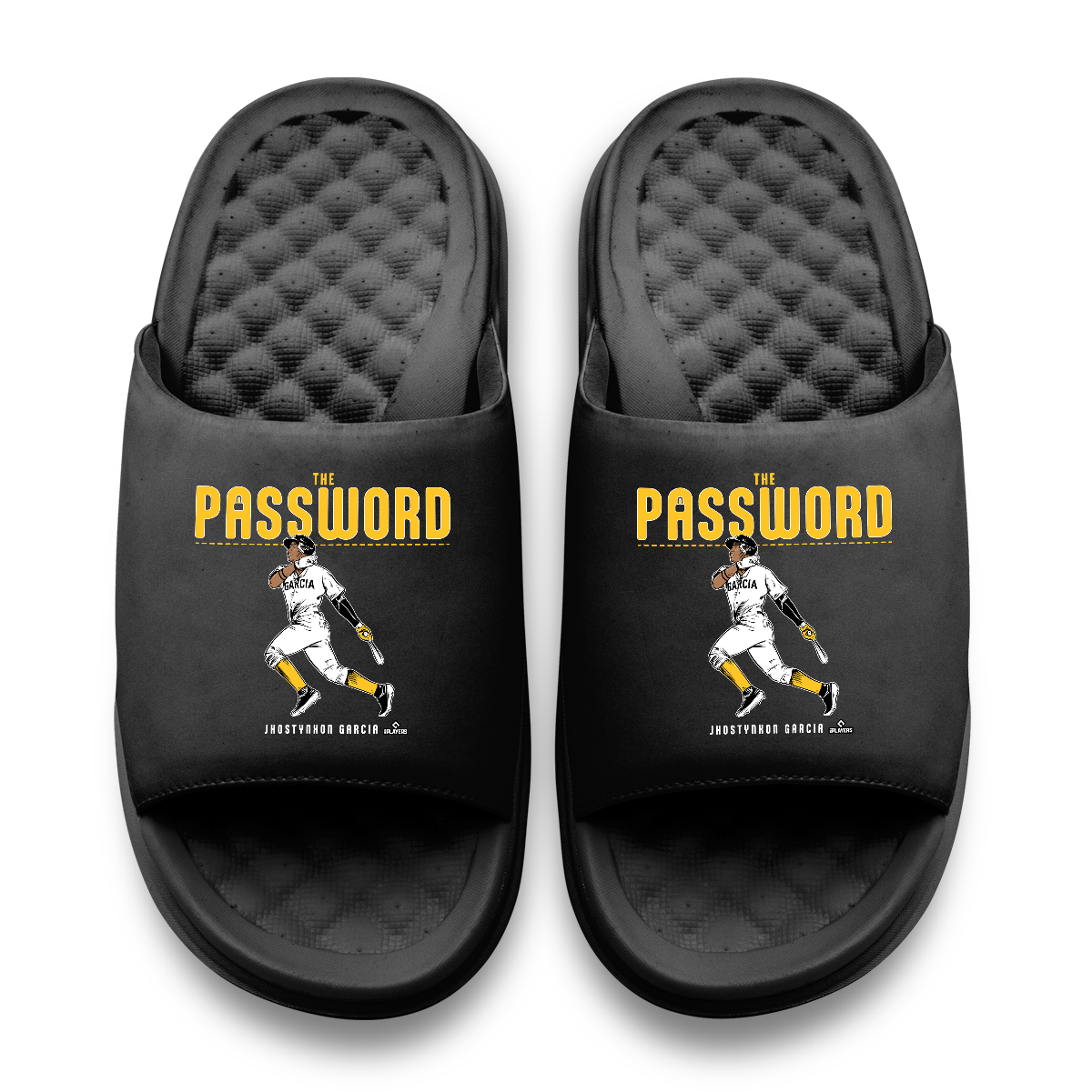 Jhostynxon Garcia Password ISlide x BreakingT