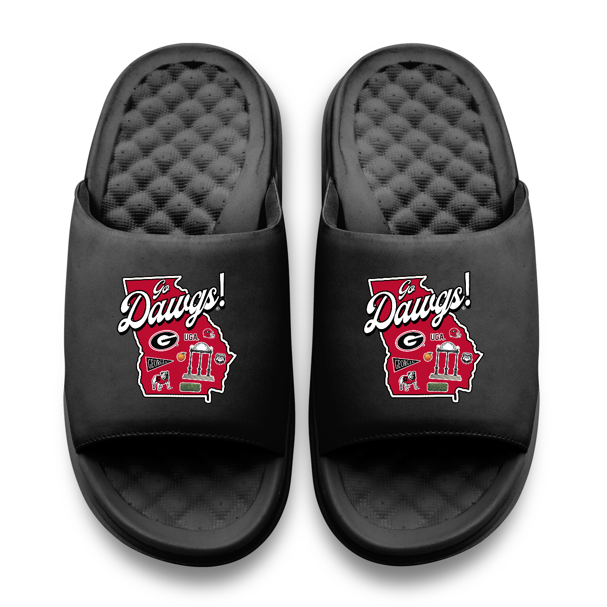 Georgia Bulldogs Landmark