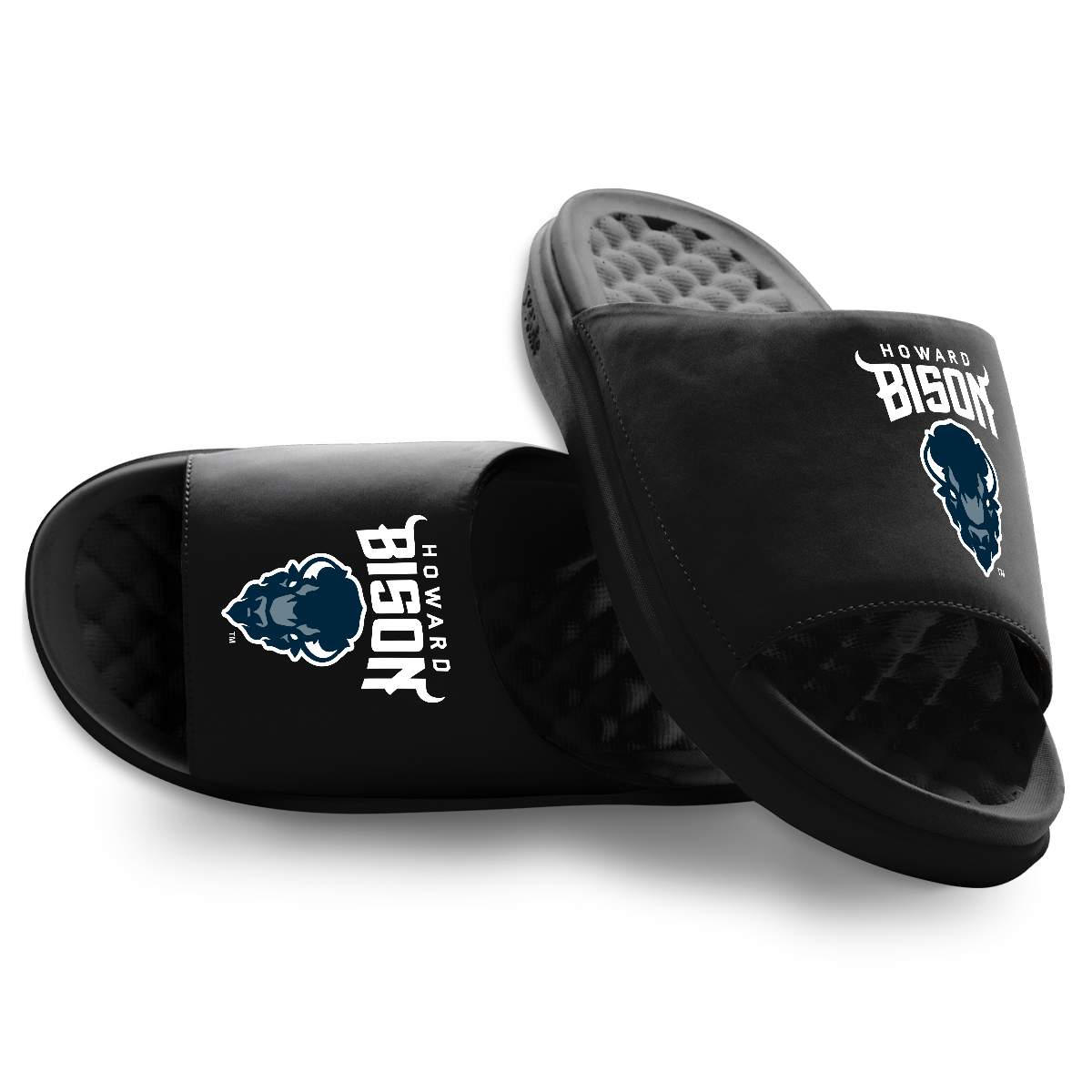 Howard Bison Primary Motive