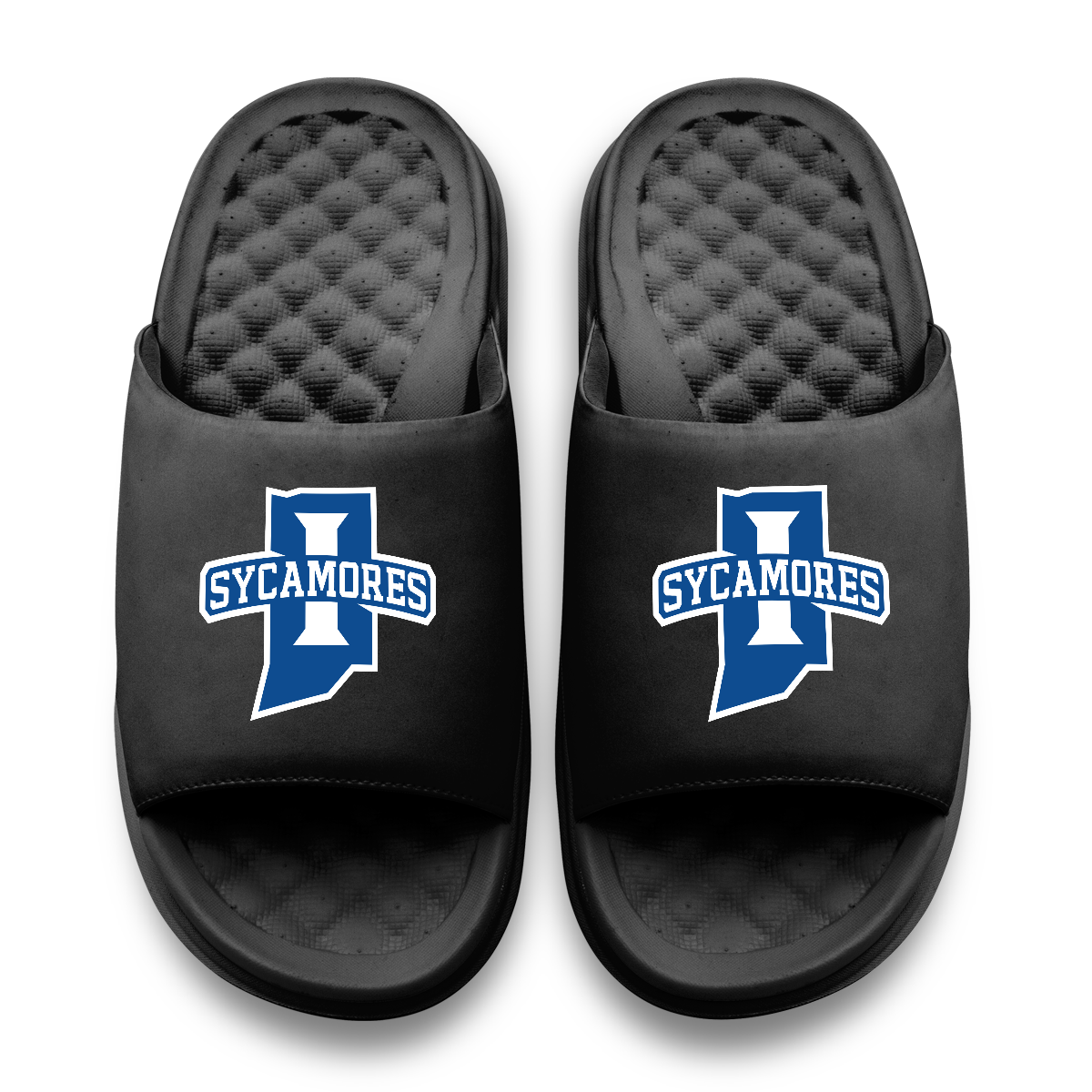 Indiana State Sycamores Primary Motive