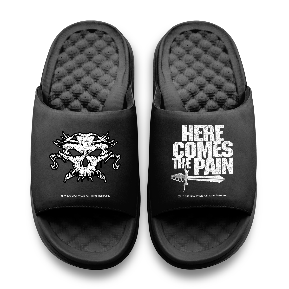 Brock Lesnar Here Comes The Pain Motive