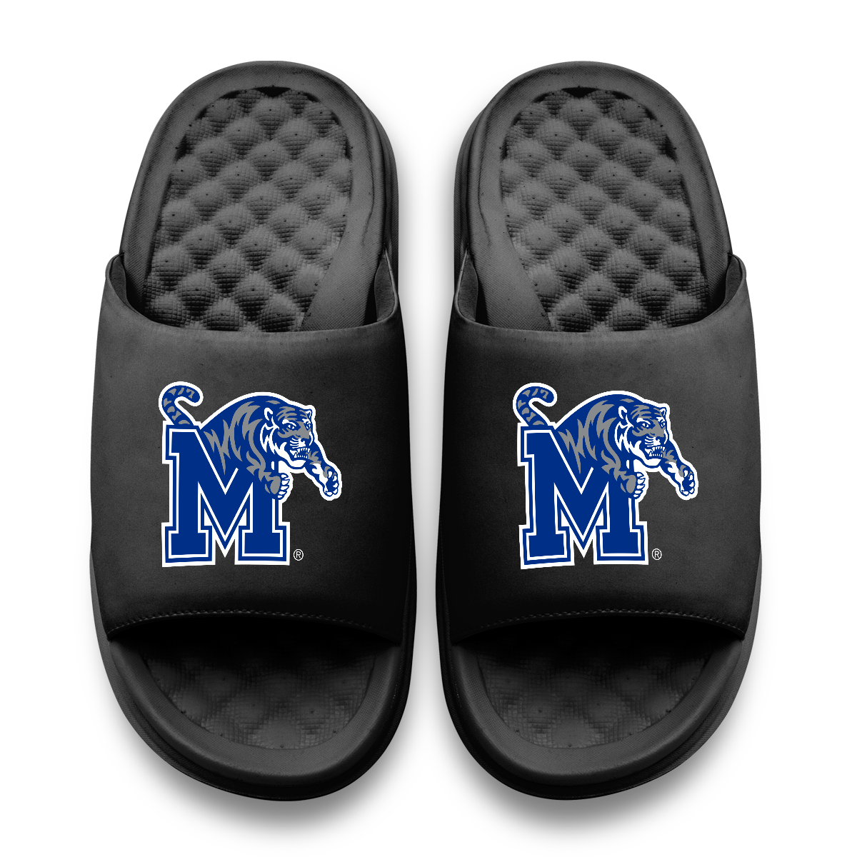 Memphis Tigers Primary Motive