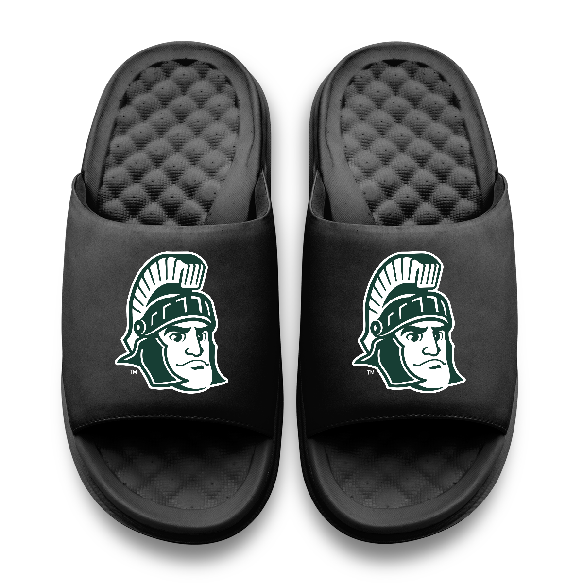 Michigan State Spartans Mascot Motive